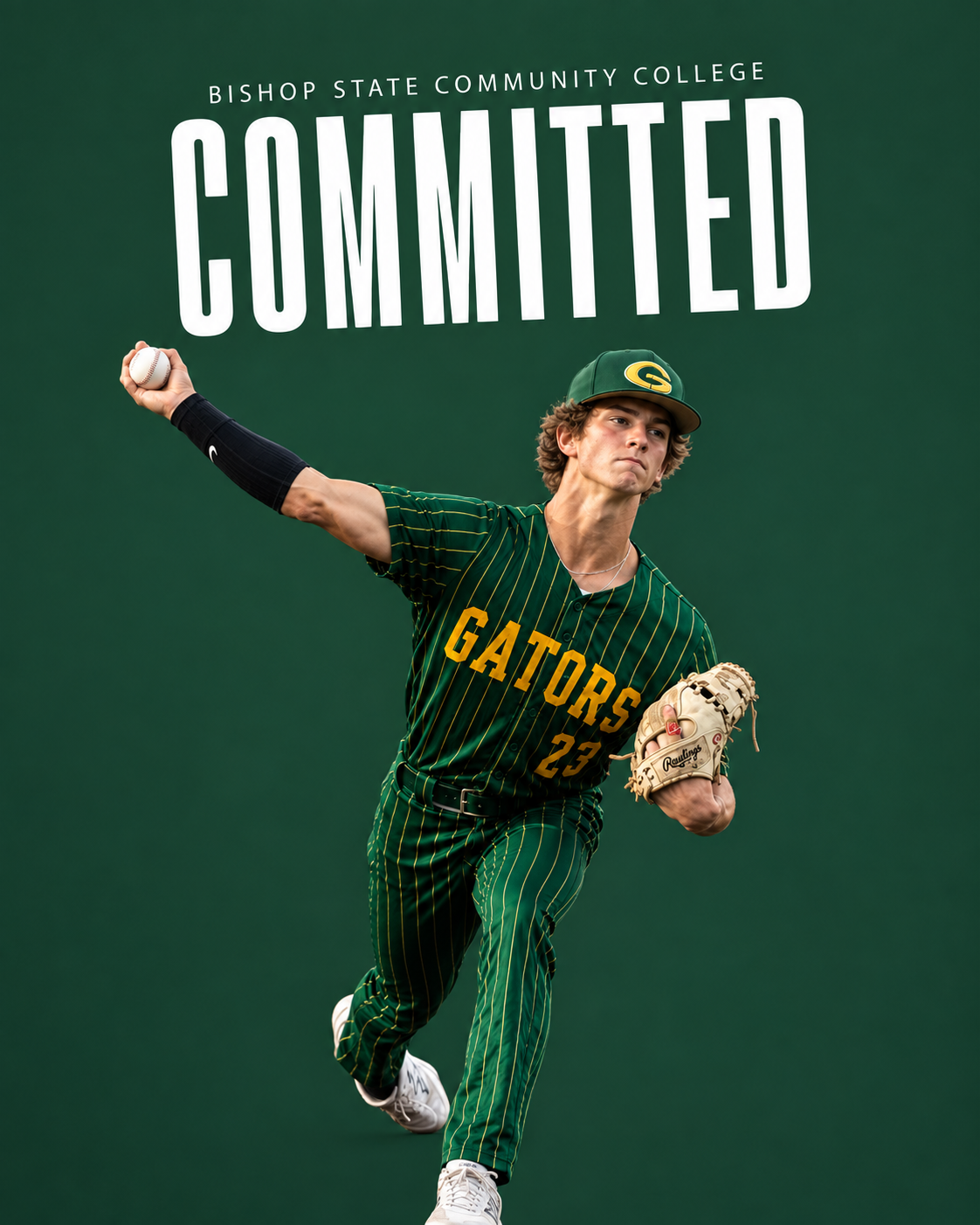 Committed hero graphic